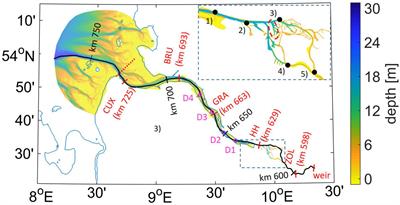 Seasonal Stratification and Biogeochemical Turnover in the Freshwater Reach of a Partially Mixed Dredged Estuary